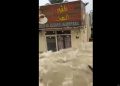 أمطار الشارقة تغرق الشوارع والمحال ولقطات توثق الحالة - المواطن