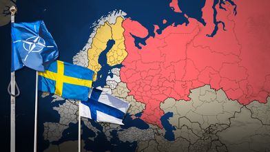 روسيا ترسل البجع البيضاء شمال فنلندا والسويد