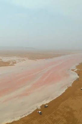 شاهد.. أمطار وسيول شرق نجران