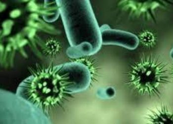 فيروس ماربورغ.. خطر جديد يهدد العالم - المواطن