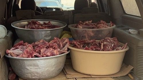 ضبط وإتلاف 290 كيلو لحوم ومأكولات رمضانية في جدة 