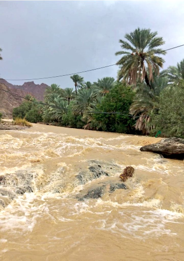 منخفض بحر العرب يصل عمان.. أمطار غزيرة وجريان السيول