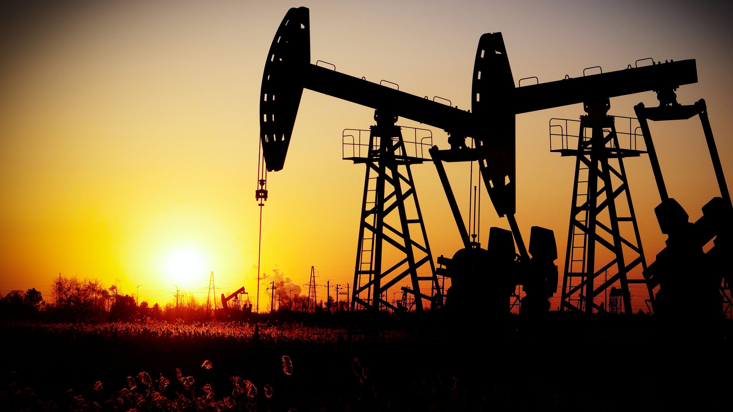 انخفاض حاد في أسعار النفط بسبب بيانات صينية محبطة
