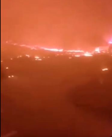 في كل مكان.. مشاهد مرعبة لنيران الحرائق بولاية الطارف بالجزائر