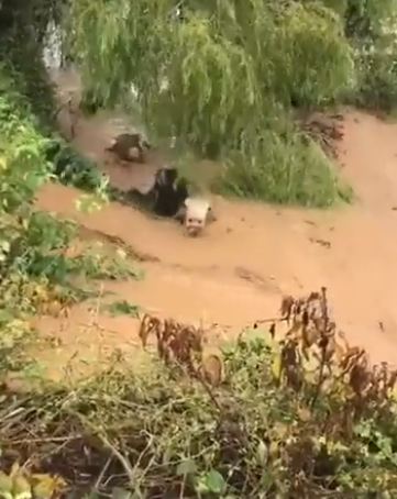 السودان يعلن حصيلة مؤلمة لضحايا الفيضانات