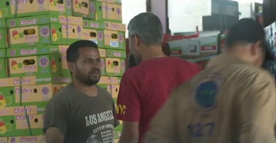 العمالة الأجنبية المخالفة تسيطر على سوق الخضار رغم قرار التوطين
