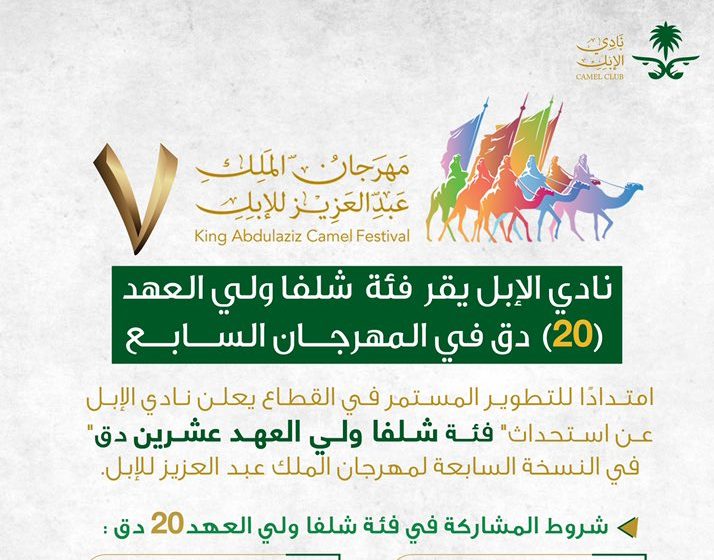 شروط المشاركة في فئة شلفا ولي العهد 20 دق في مهرجان الملك للإبل