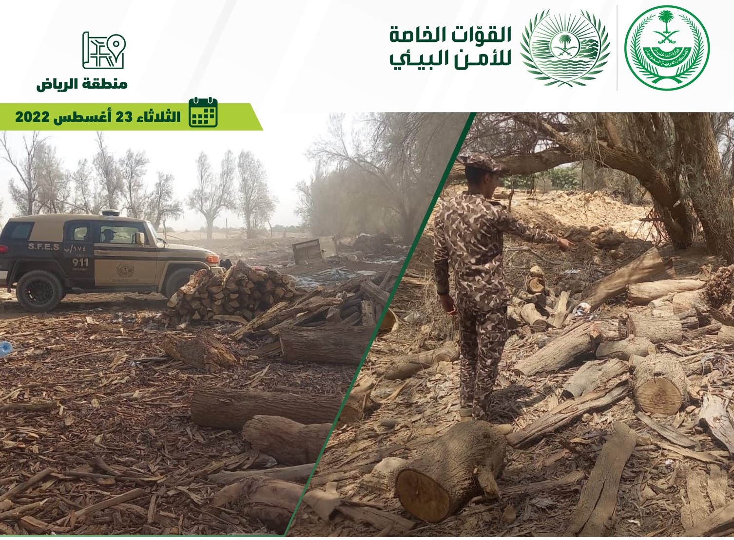 ضبط 3 مخالفين قطعوا الأشجار لتخزينها وبيعها في الرياض