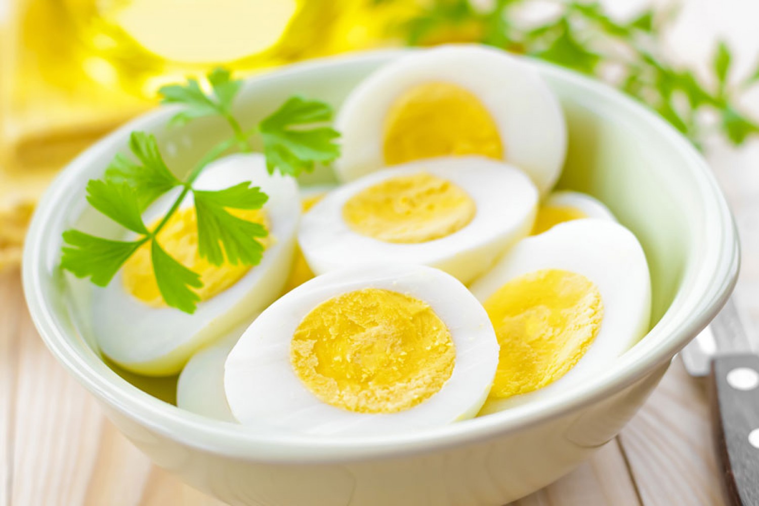 الخضيري: البيض بريء من رفع الكوليسترول بالجسم