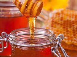 انطلاق مهرجان العسل الشتوي الأول بمشاركة 36 نحالًا