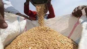 حكومة اليمن تؤكد توفر المخزون الغذائي من القمح لـ 4 أشهر
