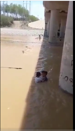 لقطات مرعبة لثعبان يمر بجانب طفلتين تلعبان في مياه الأمطار بجازان