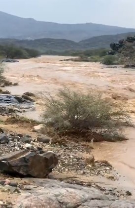 شاهد.. جريان وادي مسلة بعد أمطار جازان