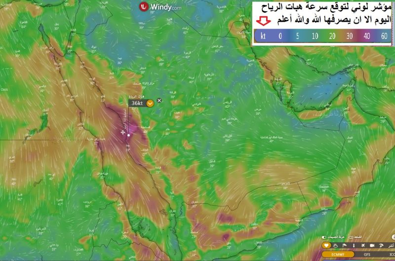 توقعات بأجواء حارة نهارًا على المملكة - المواطن