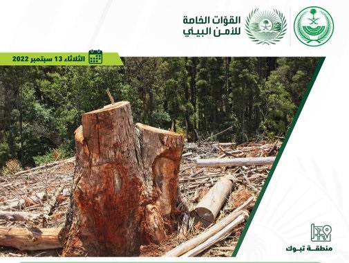 ضبط فلبينيين قطعا 9 أشجار من محمية الأمير محمد بن سلمان