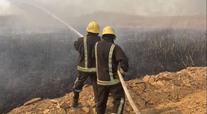 مدني تبوك يباشر إخماد حريق في حشائش