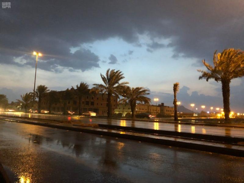 الوسم من أهم مواسم الأمطار بالجزيرة العربية