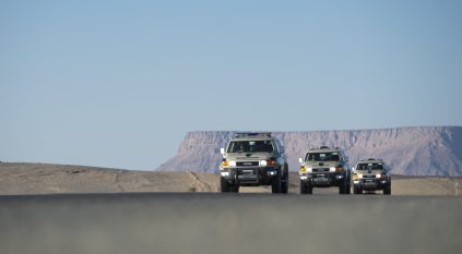 ضبط مواطن بحوزته حطب محلي معروض للبيع بالقصيم