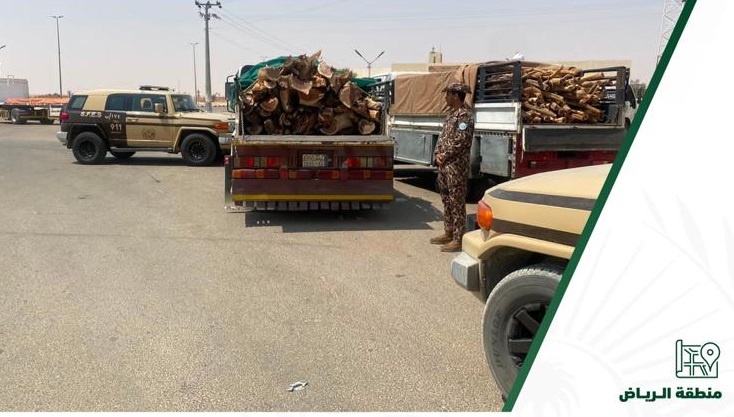 ضبط 10 مواطنين نقلوا الحطب المحلي بالرياض