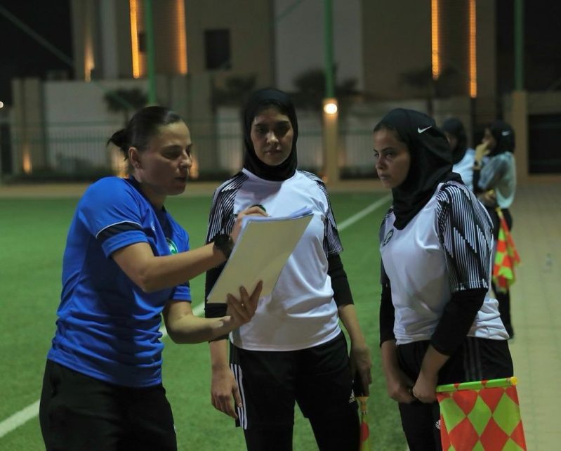 دورة الحكمات