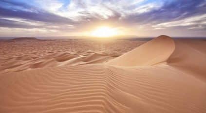 ماذا تعرف عن صخرة السلحفاة بصحراء المدينة؟
