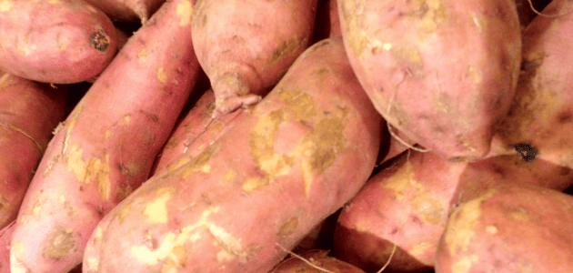 البطاطا كنز حيوي لرفع مناعة الأطفال في الشتاء