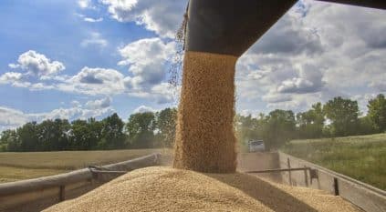 روسيا تعلن استعدادها لتصدير الحبوب مجانًا