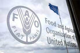 وظائف بـ منظمة الأغذية والزراعة FAO