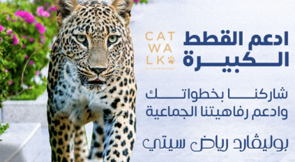 كات ووك مبادرة بموسم الرياض لحماية القطط البرية