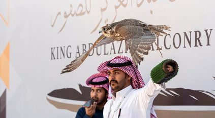 مهرجان الملك عبدالعزيز للصقور يعلن مواعيد الأشواط التأهيلية