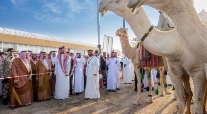 تنوع بمهرجان العقيلات وأمير القصيم فخور بالنجاح