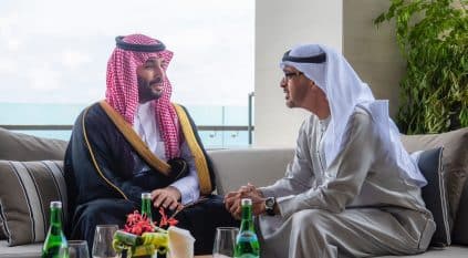 ولي العهد يلتقي رئيس الإمارات ويتبادلان الأحاديث الودية