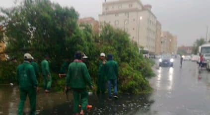 16 بلدية فرعية لرفع آثار الأمطار في جدة 
