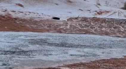 البرد يكسو الأرض حلة بيضاء في النفود الكبير