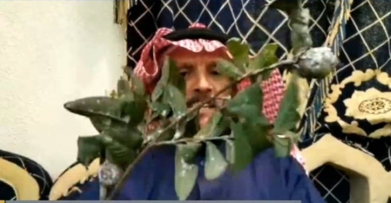 البق الدقيقي يقضي على المحاصيل والمبيدات لا تؤثر فيها