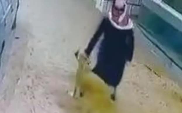 حيوان مفترس يهاجم شابًا.. والحياة الفطرية تعلق
