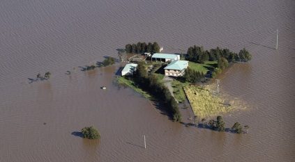 الفيضانات تهدد مزارع العنب في أستراليا