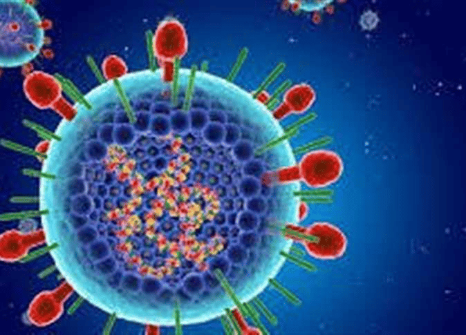 الصحة المصرية: لا علاج أو لقاح لـ الفيروس المخلوي