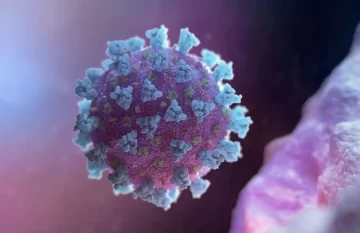علماء يحذرون من جائحة جديدة بسبب الإنفلونزا