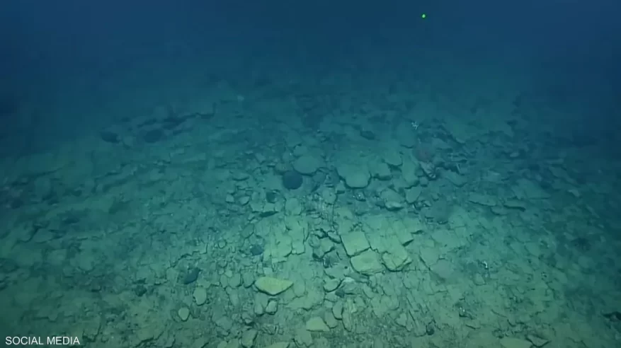 مفاجأة يكشفها فيديو مصور لقاع أحد المحيطات