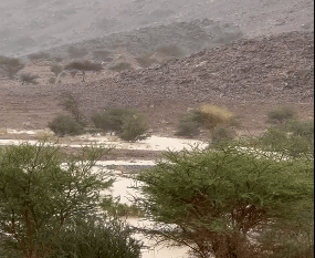 لقطات لهطول الأمطار وجريان السيول في تبوك