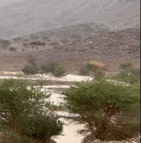 لقطات لهطول الأمطار وجريان السيول في تبوك