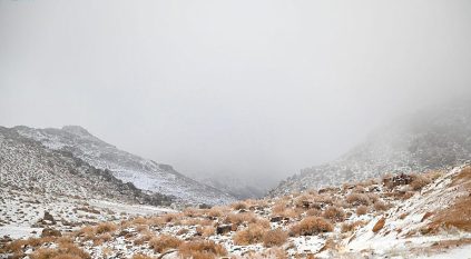 الثلوج تعانق جبال اللوز وتشكل وجهة سياحية لزواره