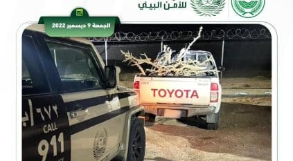 فيديو متداول يقود لضبط مواطن بحوزته حطب محلي