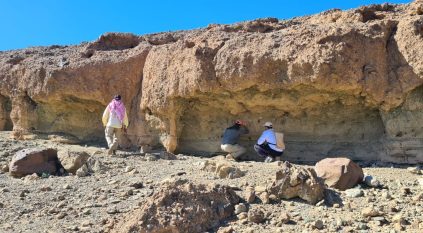 المساحة الجيولوجية وجامعة الملك سعود تدرسان عمر البراكين بحرة خيبر