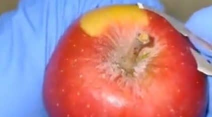 الخضيري: فيديو التفاحة المملوءة بالبكتيريا مفبرك