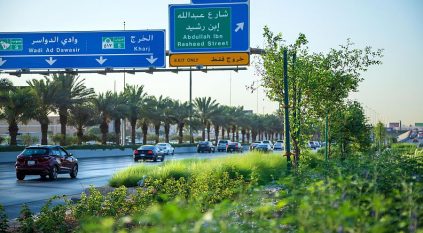 الرياض الخضراء يبدأ تشجير الأحياء السكنية انطلاقًا من حي العزيزية