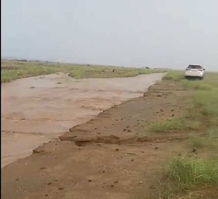 مشاهد خلابة لجريان السيول في دوقة شمال القنفذة