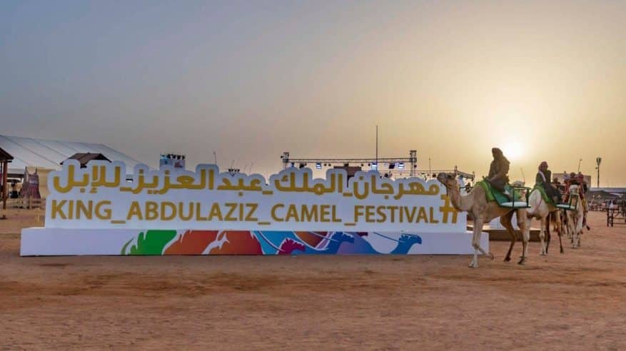 مليونيات الإبل تقود لاعب سلة أمريكي لمهرجان الملك عبدالعزيز