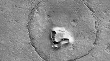 صورة دب مذهلة على كوكب المريخ
